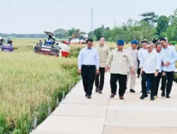 Presiden Prabowo Umumkan Swasembada Pangan Nasional 2025