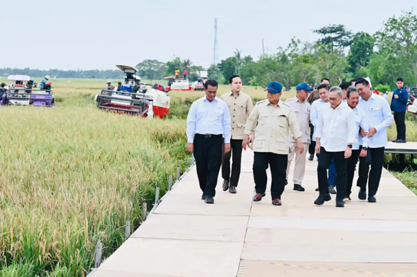 Presiden Prabowo Umumkan Swasembada Pangan Nasional 2025