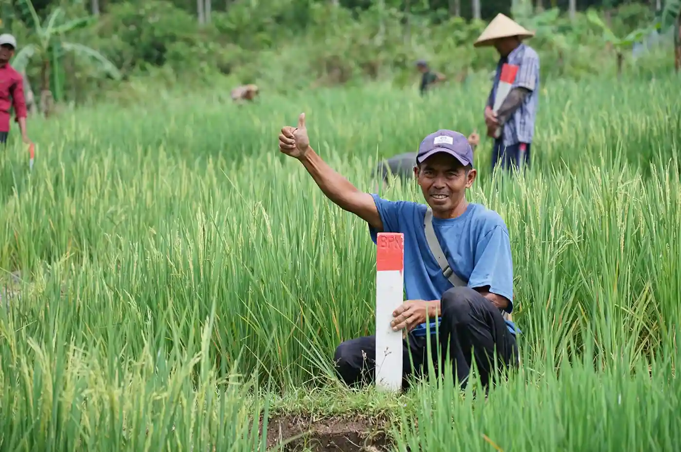 Warga memasang patok batas tanah untuk mencegah sengketa lahan