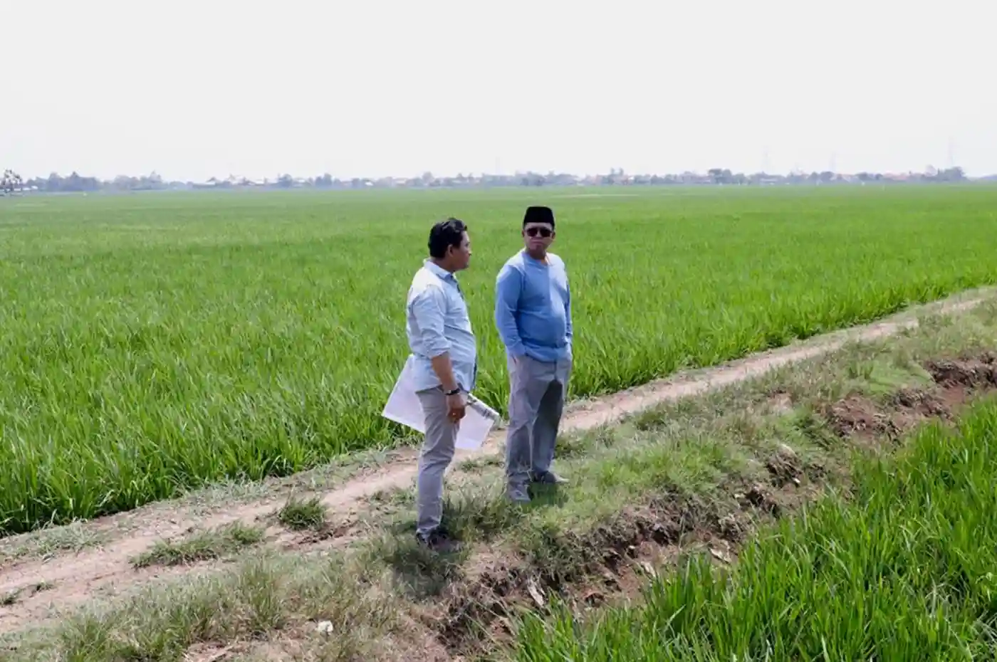 Nusron Wahid meninjau lahan sawah Indramayu untuk kawasan industri