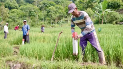 patok batas tanah untuk mencegah sengketa lahan