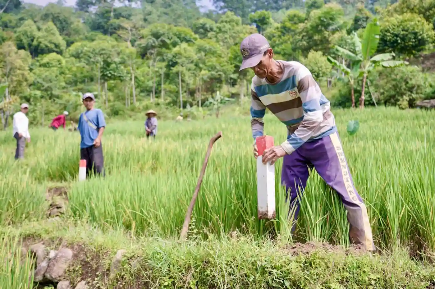 patok batas tanah untuk mencegah sengketa lahan