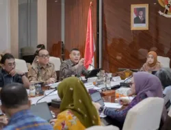 rapat koordinasi pemerintah membahas penataan lembaga bran di kementerian panrb